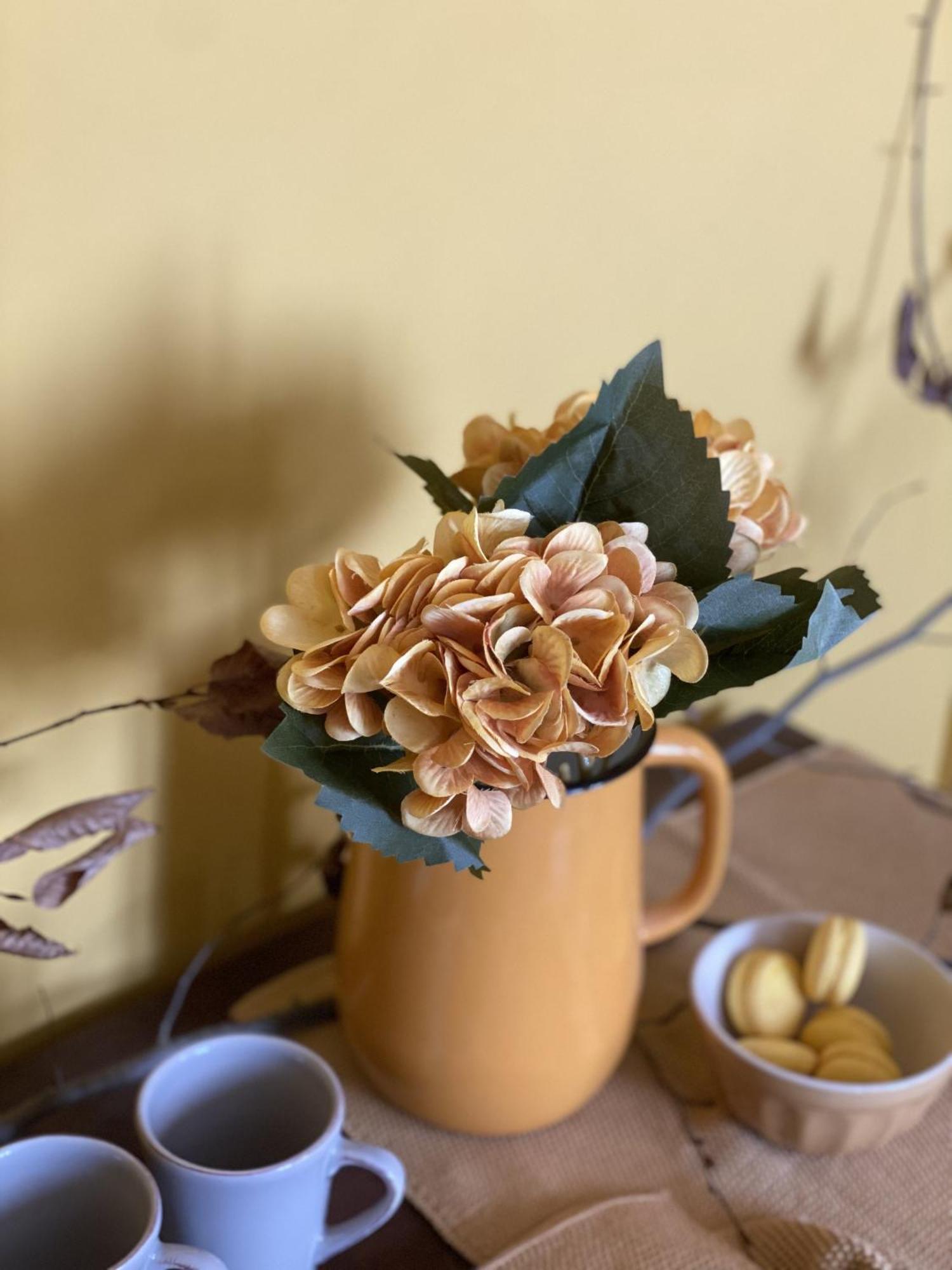 B&B Melloni Street Dolo Zewnętrze zdjęcie