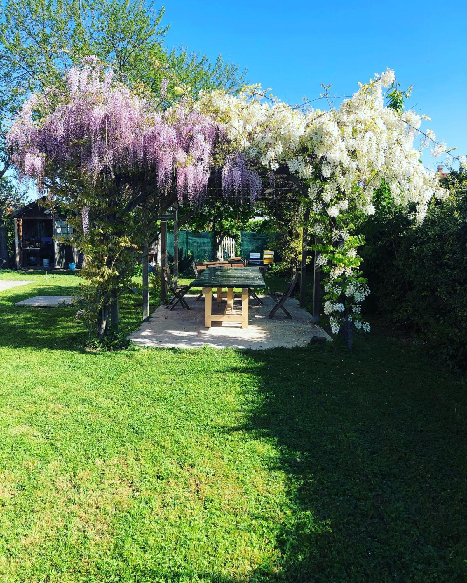B&B Melloni Street Dolo Zewnętrze zdjęcie